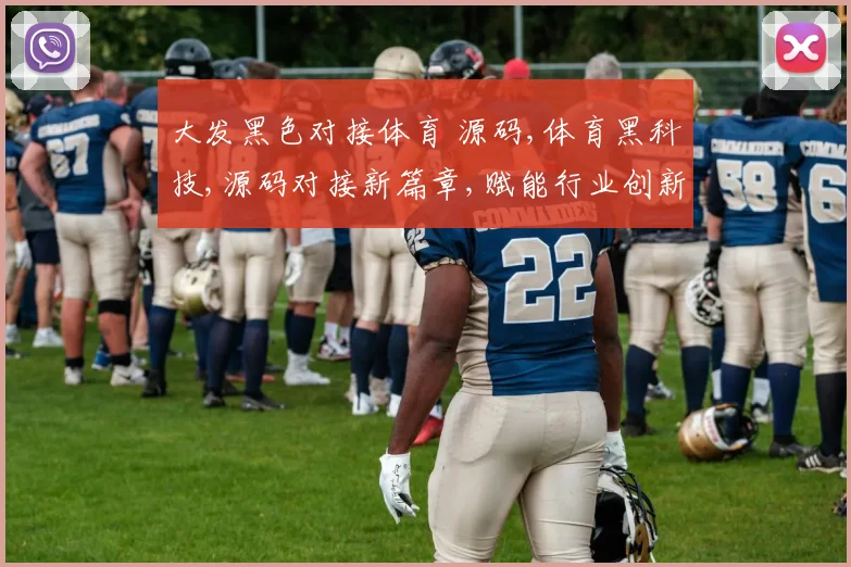 大发黑色对接体育 源码,体育黑科技,源码对接新篇章,赋能行业创新,共筑未来生态
